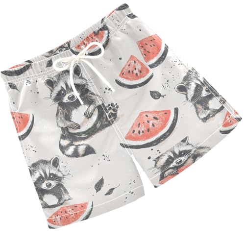 Pigsaly Boys' Swim Board Shorts Watermelon Grey White Raccoon Boy's Swim Trunks Kids Swimwear 2T