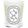 Diptyque Gardenia Candle-6.5 oz.