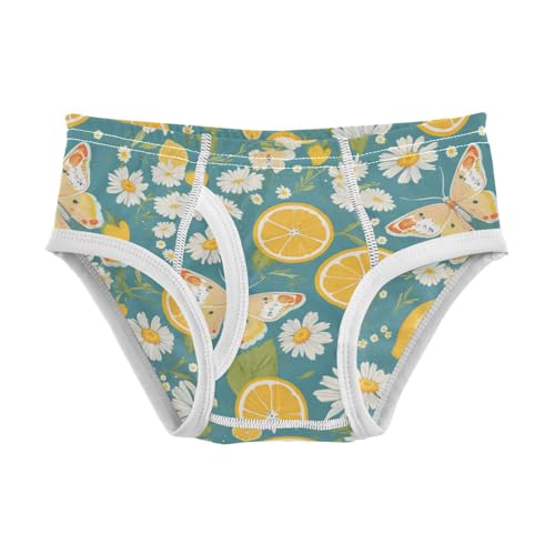 Wusikd Lemons Flowers (2) Boys' Underwear Cotton Boys Briefs Soft Toddler Underwear 2T