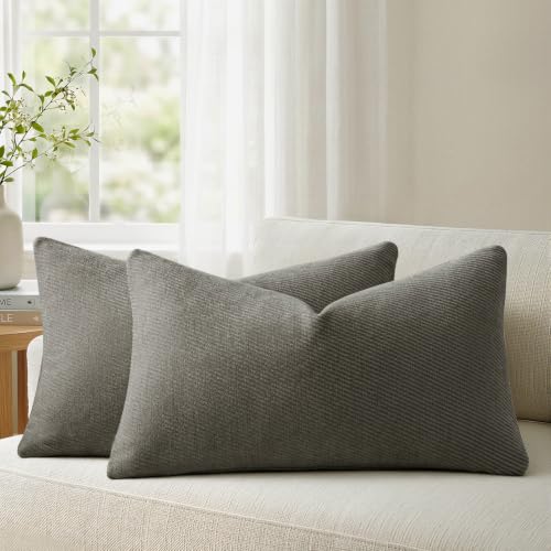 Image of a moment Pack of 2 Decorative Chenille Throw Pillow Covers with Twill Cushion Covers for Sofa Living Room Couch Bed 20x12 Inch Dark Gray