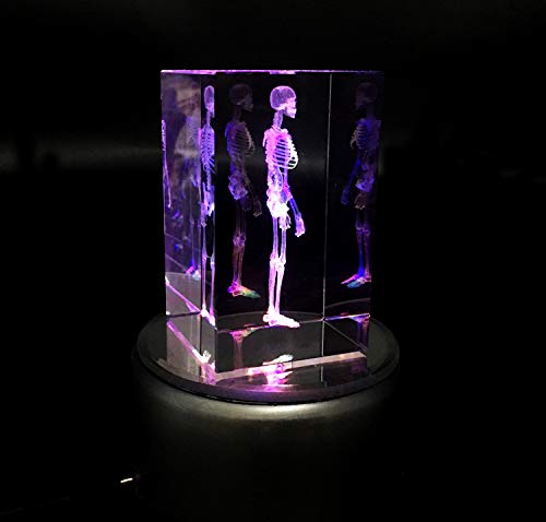 3D Human Skeleton Anatomical Model Paperweight(Laser Etched) In Crystal Glass Cube Science Gift (No Included Led Base)(3.1X2X2 Inch) #TOP3