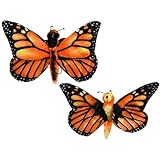 Rhode Island Novelty 13