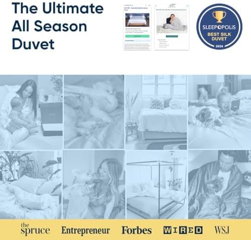 Vesta All-Season Silk Comforter, Quilt and Duvet Insert for Hot Sleepers, 100% Silk Fill with 100% Cotton Shell, Luxuriously Soft, Moisture-Wicking, Queen Size (Grey, Silk Weight: 3.2lbs) - Image 2