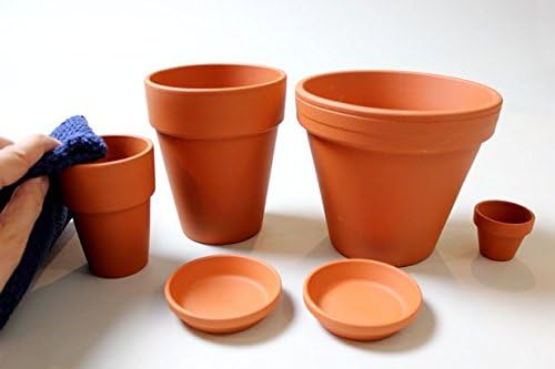 Miniatura 6 de Platillo de terracota (platillo de 4 pulgadas)