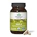 Organic India Amalaki - Vitamin C for Immune System (90 Veg Capsules)