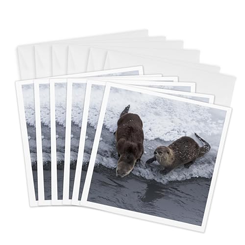 Cartes loutres de rivière États-Unis pour accompagner tous vos cadeaux
