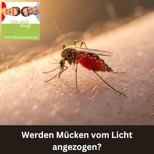 Werden M&uuml;cken vom Licht angezogen?
