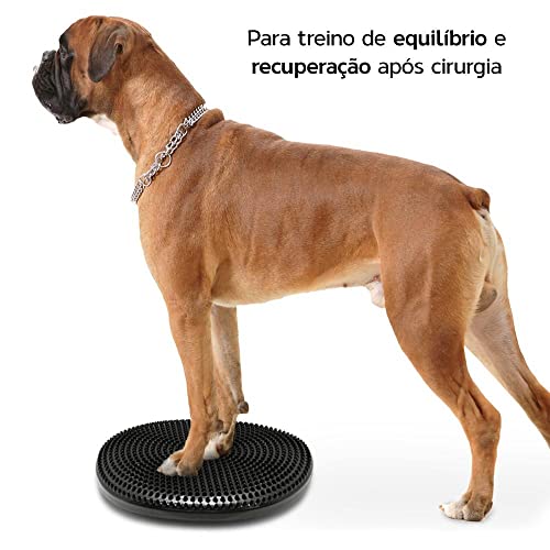 Disco de Equilíbrio - Balance Disc ELITE