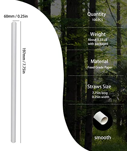 Pure White Paper Straws For Drinking, Eco Friendly Recyclable Paper Straw White Plain, Solid White Straws Perfect For A Dream Wedding Party Suppliers, Box Of 100 #TOP2