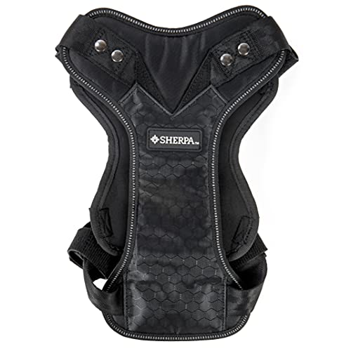 8 Affordable Dog Car Harness Crash Tested — Safety on a Budget