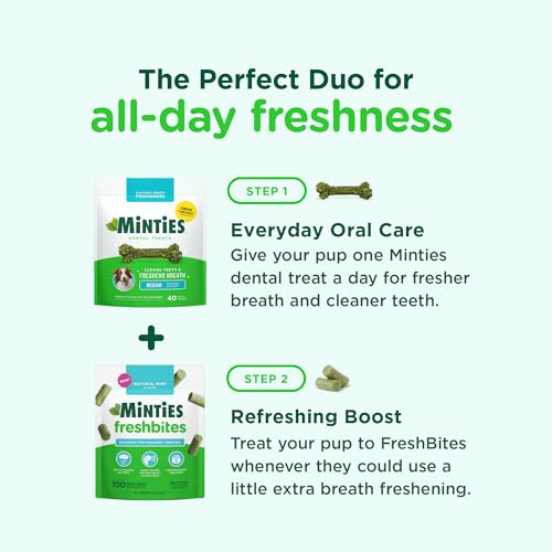 Image of Minties FreshBites Soft and Chewy Dental Treats, Low Calorie Natural Mint Flavored Dental Chews for Dogs, 100 Count, Dog Chews Clean Teeth, Fight Bad Breath, Removes Plaque and Tartar