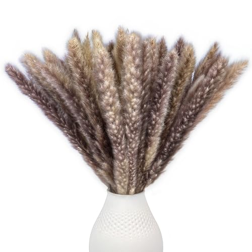 Hierba de Las Pampas Marrón - 15 Piezas de 45 cm, Flores secas Decorativas para salón y Pasillo, Ramo Boho de Hierbas, Flores Artificiales de Hierba de Las Pampas para jarrón