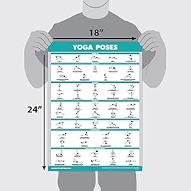 Palace Learning QuickFit Yoga Position Exercise Poster - Yoga Asana Poses Chart - Laminated, 18 x 24