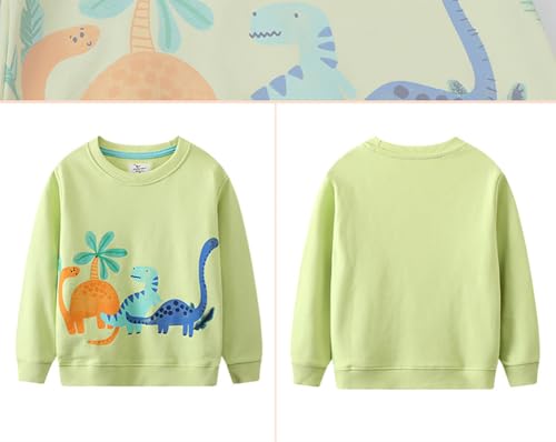 Boys Sweatshirts Casual Sweatshirts Cotton Sweatshirts Long Sleeve T-shirts Crew Neck Cartoon Tops for Boys-1554