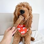 Nylabone Healthy Edibles Natural Dog Chews Long Lasting Chicken Flavor Treats for Dogs, Medium/Wolf (2 Count) - Image 2