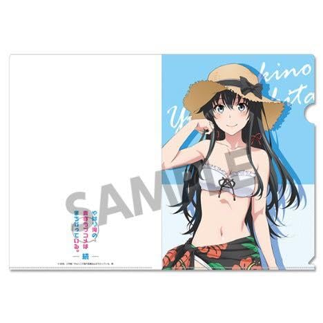 Amazon.co.jp: やはり俺の青春ラブコメはまちがっている。続 俺ガイル