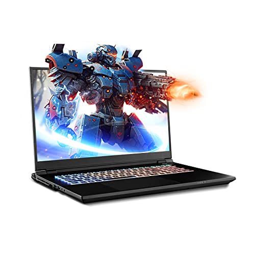 Sager 2023 Np9371W Gaming Laptop, 17.3 Inch Qhd 240Hz 100% Dci-P3 G-Sync, Intel I9-13900Hx, Rtx 4090 16Gb, 64Gb Ram, 2Tb Gen4 Nvme Ssd, Win 11 #TOP3