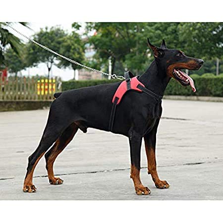 Pet Guard Dog Body Adjustable Harness for Vest/Comfortable Harness/Padded Harness with Handle and Hook (Large, Pink) (B08W3LG7DP) Amazon Price History, Amazon Price Tracker