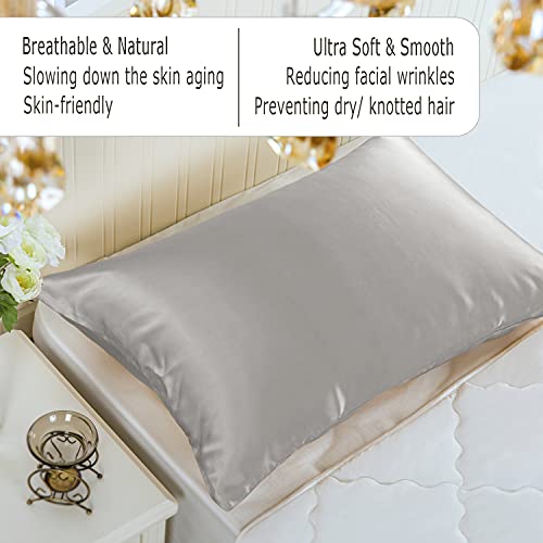 Ravmix Mulberry Silk Pillowcase for Hair and Skin with Hidden Zipper, Both Sides 100% 21Momme Pure Silk, 1PCS, Standard Size 20×26inches, Apricot Gray