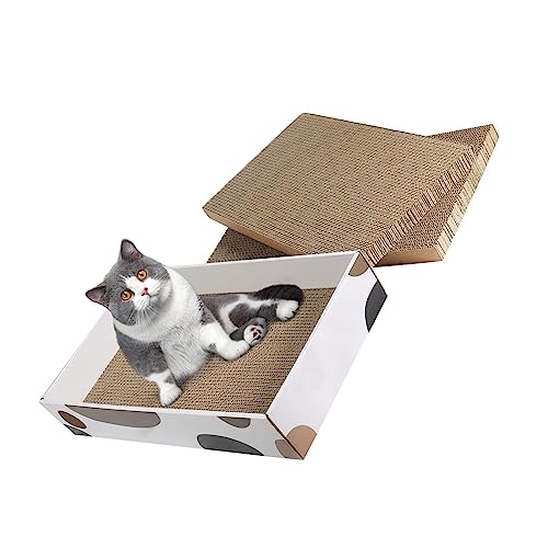 SUNCN L܂Ƃ _{[ P[X^ T[N O x XgX ϋv