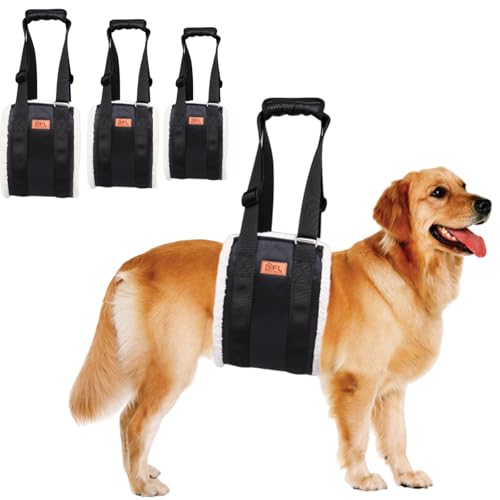 Correa de asistencia para perros con longitud ajustable para un control firme 3