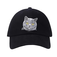 British Shorthair Cat