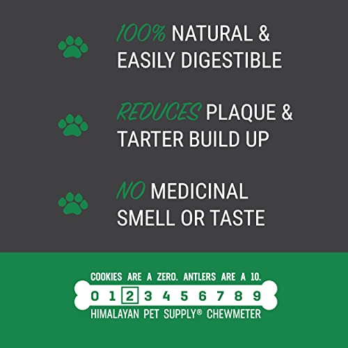 Himalayan Charcoal Cheese Chews | Dental Cleaning - Stain Free - Protein Rich - Tartar Fighting | No Lactose - No Gluten - No Grains - No Soy | Cheese-Char | Medium | For Dogs 35 Lbs & Smaller #TOP7