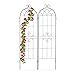 Produktbild Relaxdays Rankgitter, 2er Set, Rankhilfe für Kletterpflanzen, HxB 180x50 cm, Steckverbindung, Ornamente, Eisen, schwarz