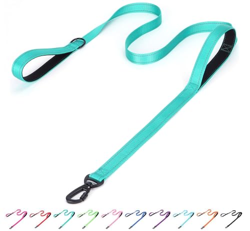 Bbmmayy Reflective Nylon Dog Leash - The Heavy Duty Hero Leash with Two Handles for Night Safety Training - for Small Medium Large Breed Pet Dogs (Teal, 5FT×1'')
