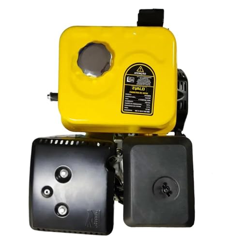 EVALD Motor à Gasolina 15 HP 4 Tempos Multiuso Partida Elétrica EVS420FE