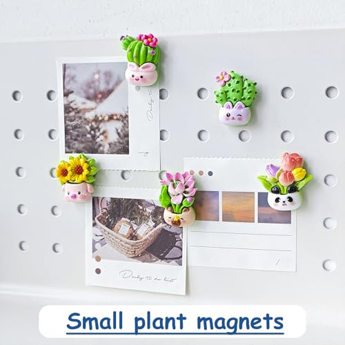 12 imanes decorativos de cactus y flores para refrigerador miniatura 2