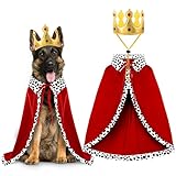 Vellibring Halloween Dog...image