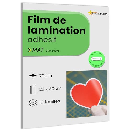 10 hojas A4, 22 x 31 cm, película de laminación en frío mate, láminas laminadas autoadhesivas para fotos y pegatinas. Compatible con plotter de corte