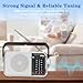 Snokauwa AM FM Radio Portable, Transistor Radio, Battery Powered or Mains Operated, Battery Radio with Robust Reception and Built in Speaker, Suitable for Home and Outdoor