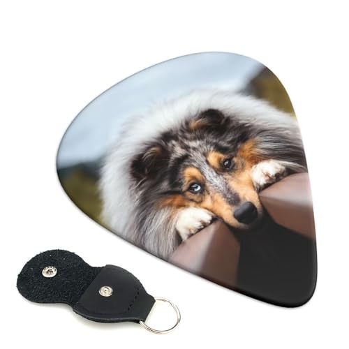 tR[S 킢GLM^[sbN Ajt@bVy S҃gCAOsbN 6 Zbg 0.96mm