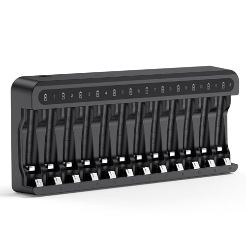 POWEROWL Cargador de Pilas Recargables Rápido, para Pilas Recargables Ni-MH AA AAA, Sin Adaptador (12 Ranuras
