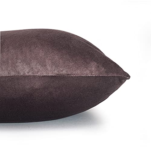 Image of Cazimo Velvet Cushion Covers for Bed, Sofa and Couch - 16 * 16 inches | Ideal for Living Room | Set of 2, Brown