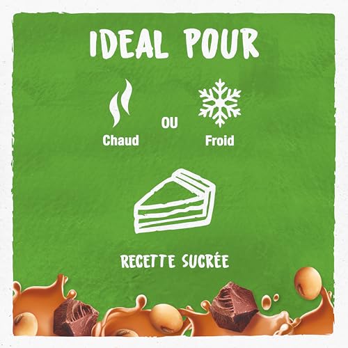 BJORG - Boisson Soja Chocolat - Une Boisson 100% Végétale - Riche En Protéines - Pauvre En Acides Gras Saturés - 1L