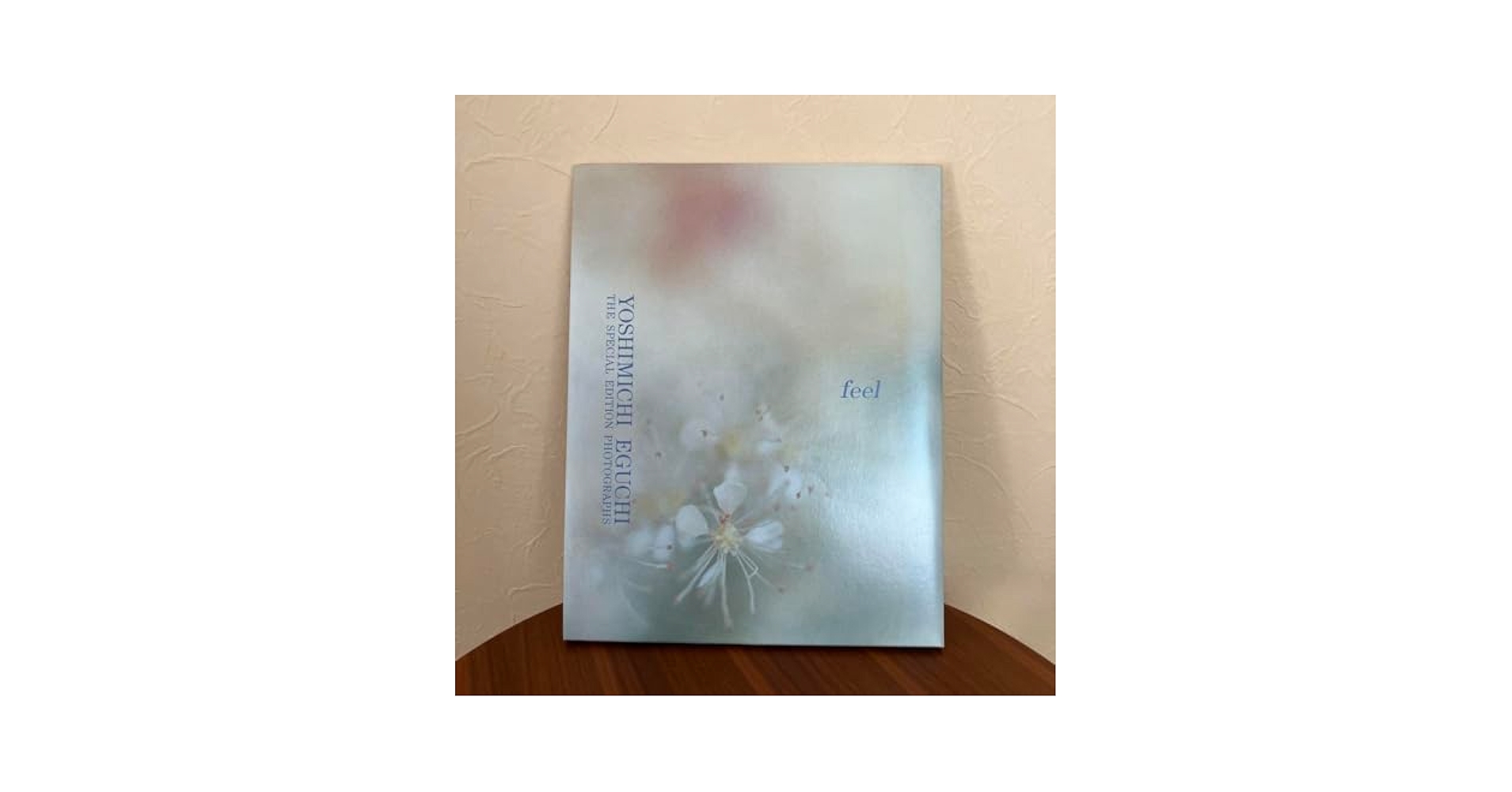 江口善通・写真集　feel Amazon.co.jp: 江口善通 写真集 feel : おもちゃ