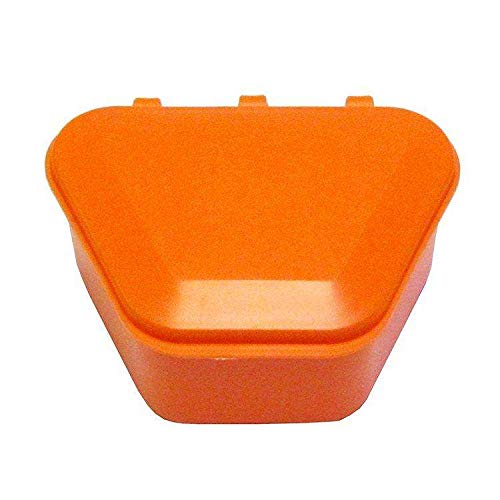 Denture Cups - New Age Orange, 12/Box. Denture Storage Cases 1-3/4" Deep Able to Fit Any Size Denture
