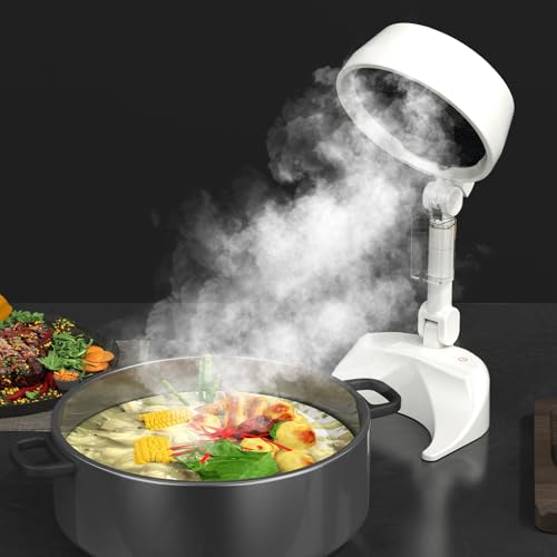 LORESJOY Cappa Aspirante Portatile, Mini Cappa Cucina con Ventola, Pieghevole, Cappa da Cucina da Tavolo, Ventola da Cucina per Barbecue, Cucine, Campeggio, BBQ