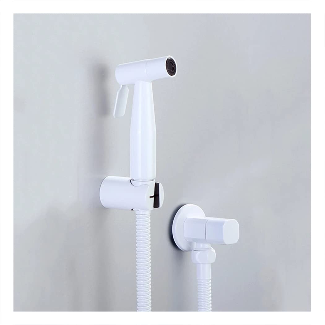 Douchette de bidet pour WC : fini le papier, fraîcheur 100% inox