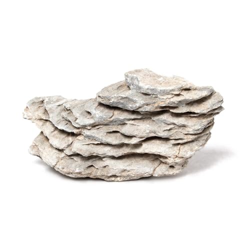 `󂨔C ϑw lTCYiPR`PWj P ANAE CAEgf