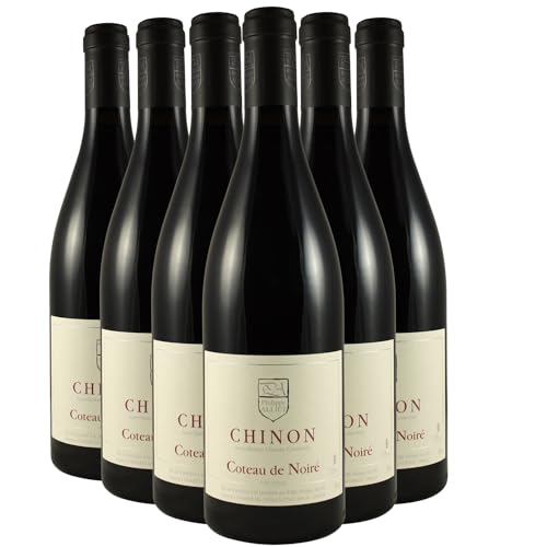 Chinon Coteau de Noiré 2021: Cabernet Franc del Valle del Loira – Domaine Philippe Alliet Chinon Coteau de Noiré 2021: Cabernet Franc del Valle del Loira – Domaine Philippe Alliet