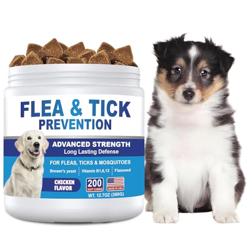 Dog Flea and Tick Chewable 200ct for Dogs, Puppies, All Breeds & Sizes