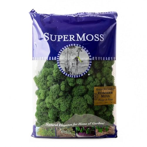 SuperMoss (21757) Reindeer Moss Preserved, Forest, 8oz (200 cubic inch)