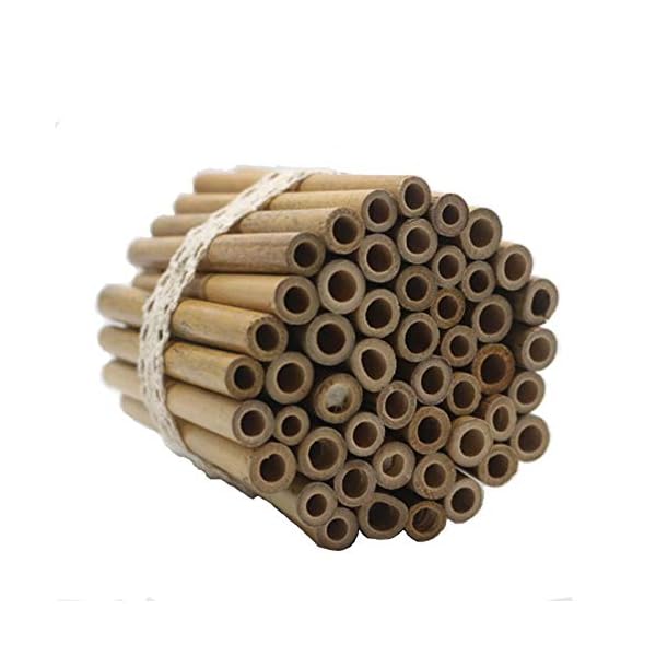 Super Idee 50 Stück 10cm Länge Bambusröhrchen zum selber Bauen Wiederverwendbaren Basteln aus Bambus für Insektenhaus…
