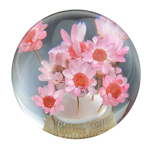 Abfer Flower Shifter Knob for Pink Round Car Gear Stick Head Unique Shift Handle Ball Fit Most Automatic Manual Vehicles Trucks