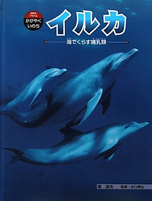イルカ 海でくらす哺乳類 科学のアルバム かがやくいのち 博也 水口 俊夫 南 本 通販 Amazon