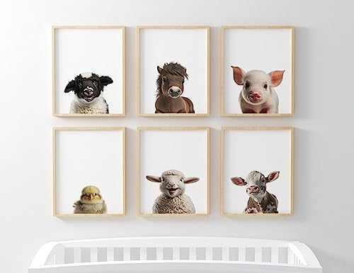Farm animal nursery prints set of 6 baby animal posters for 